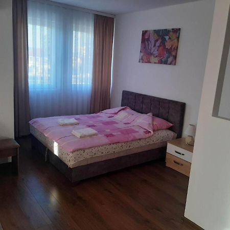 Vila Centar MB Bed & Breakfast Sjenica Luaran gambar