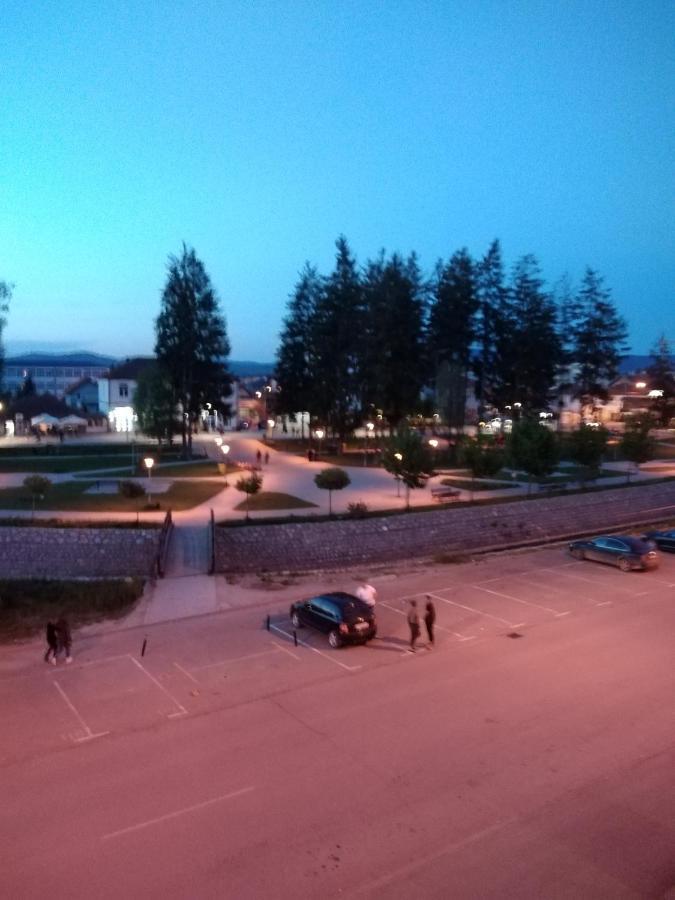Vila Centar MB Bed & Breakfast Sjenica Luaran gambar