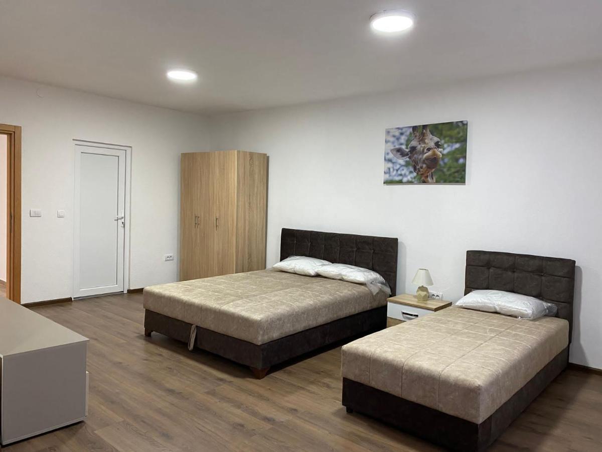 Vila Centar MB Bed & Breakfast Sjenica Luaran gambar