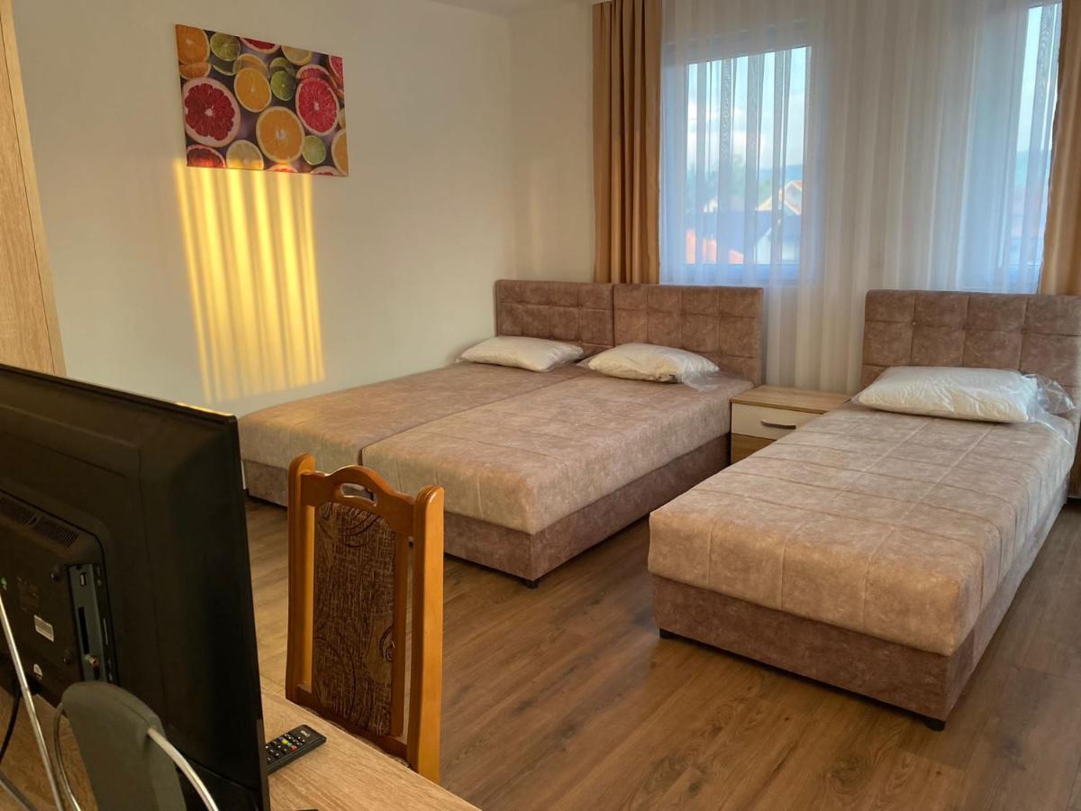 Vila Centar MB Bed & Breakfast Sjenica Luaran gambar